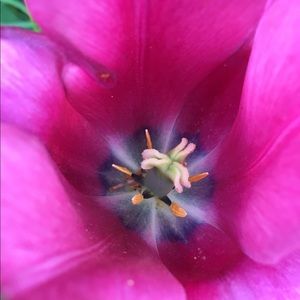 Meet your Posher, Amy